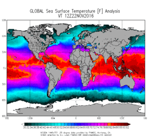 ncoda_1440x721_global_sst
